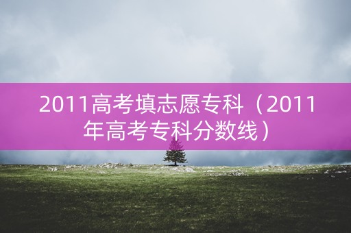 2011高考填志愿专科（2011年高考专科分数线）