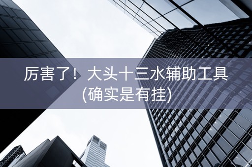 厉害了！大头十三水辅助工具(确实是有挂)