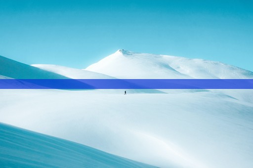 乐安二中2011高考成绩（乐安二中2017年高考录取情况）