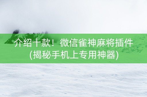 介绍十款！微信雀神麻将插件(揭秘手机上专用神器)