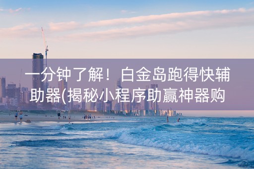 一分钟了解！白金岛跑得快辅助器(揭秘小程序助赢神器购买)