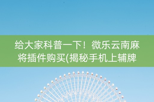 给大家科普一下！微乐云南麻将插件购买(揭秘手机上辅牌器)