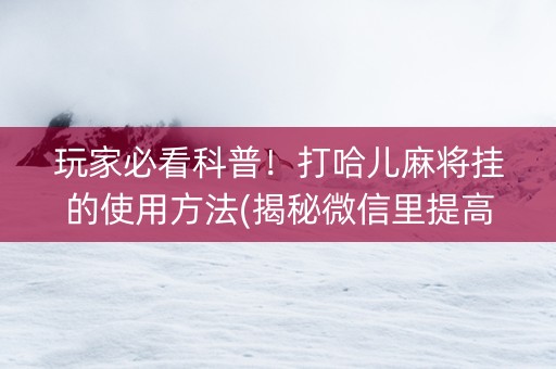 玩家必看科普！打哈儿麻将挂的使用方法(揭秘微信里提高胜率)