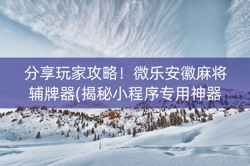分享玩家攻略！微乐安徽麻将辅牌器(揭秘小程序专用神器)