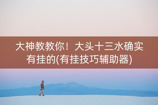 大神教教你！大头十三水确实有挂的(有挂技巧辅助器)