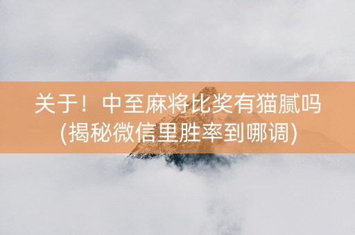 关于！中至麻将比奖有猫腻吗(揭秘微信里胜率到哪调)