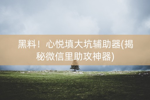 黑料！心悦填大坑辅助器(揭秘微信里助攻神器)