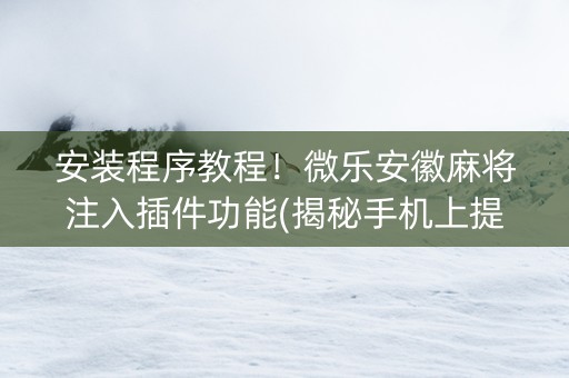 安装程序教程！微乐安徽麻将注入插件功能(揭秘手机上提高胜率)