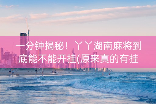 一分钟揭秘！丫丫湖南麻将到底能不能开挂(原来真的有挂)