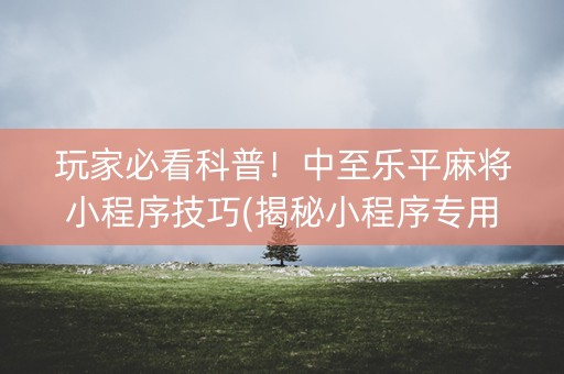 玩家必看科普！中至乐平麻将小程序技巧(揭秘小程序专用神器下载)
