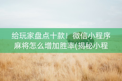 给玩家盘点十款！微信小程序麻将怎么增加胜率(揭秘小程序助手软件)