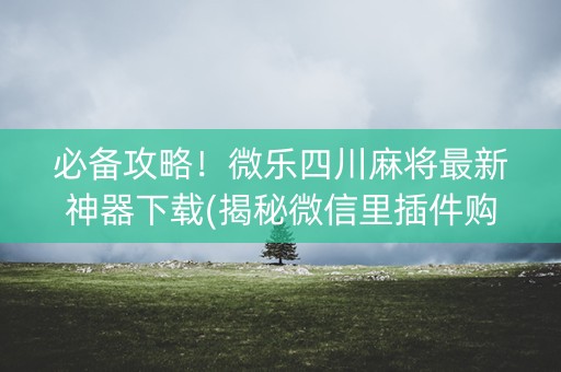 必备攻略！微乐四川麻将最新神器下载(揭秘微信里插件购买)