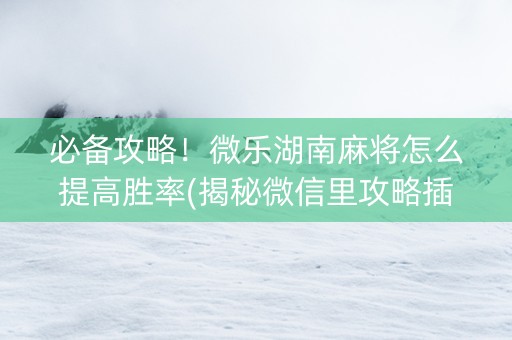 必备攻略！微乐湖南麻将怎么提高胜率(揭秘微信里攻略插件)