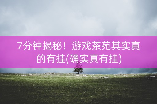 7分钟揭秘！游戏茶苑其实真的有挂(确实真有挂)