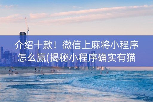 介绍十款！微信上麻将小程序怎么赢(揭秘小程序确实有猫腻)