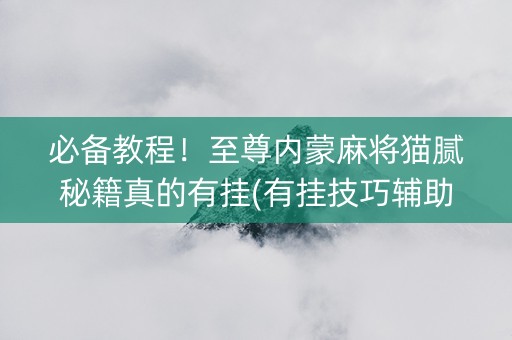 必备教程！至尊内蒙麻将猫腻秘籍真的有挂(有挂技巧辅助器)