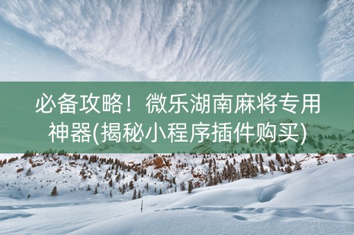 必备攻略！微乐湖南麻将专用神器(揭秘小程序插件购买)