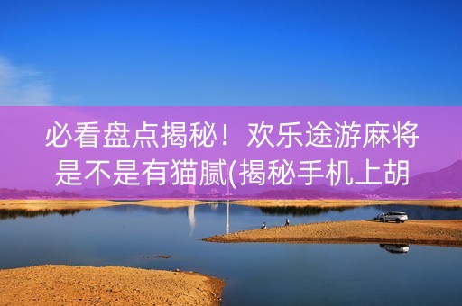 必看盘点揭秘！欢乐途游麻将是不是有猫腻(揭秘手机上胡牌技巧)