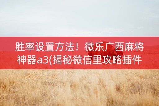 胜率设置方法！微乐广西麻将神器a3(揭秘微信里攻略插件)