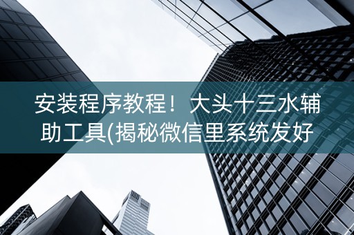 安装程序教程！大头十三水辅助工具(揭秘微信里系统发好牌)