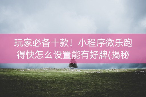 玩家必备十款！小程序微乐跑得快怎么设置能有好牌(揭秘手机上攻略插件)