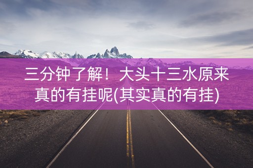 三分钟了解！大头十三水原来真的有挂呢(其实真的有挂)