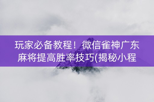 玩家必备教程！微信雀神广东麻将提高胜率技巧(揭秘小程序赢牌的技巧)