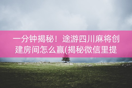 一分钟揭秘！途游四川麻将创建房间怎么赢(揭秘微信里提高胜率)