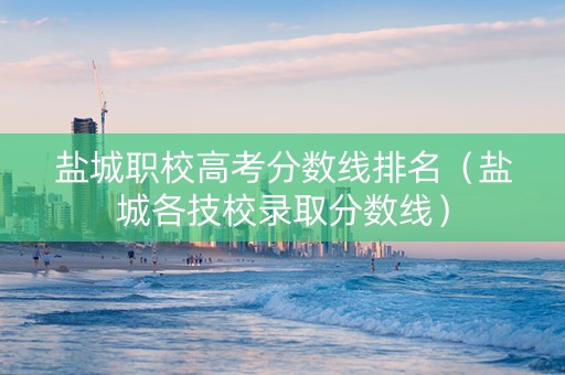 盐城职校高考分数线排名（盐城各技校录取分数线）