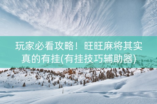 玩家必看攻略！旺旺麻将其实真的有挂(有挂技巧辅助器)
