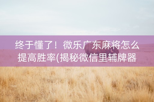 终于懂了！微乐广东麻将怎么提高胜率(揭秘微信里辅牌器)