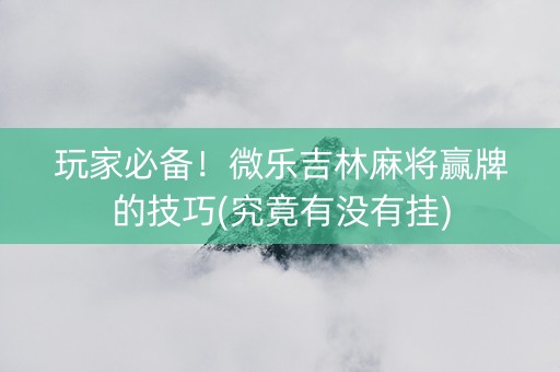 玩家必备！微乐吉林麻将赢牌的技巧(究竟有没有挂)