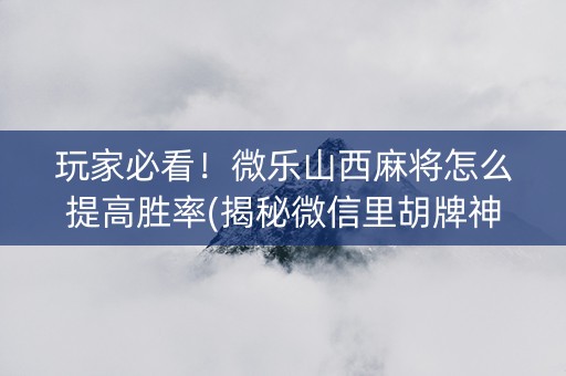 玩家必看！微乐山西麻将怎么提高胜率(揭秘微信里胡牌神器)