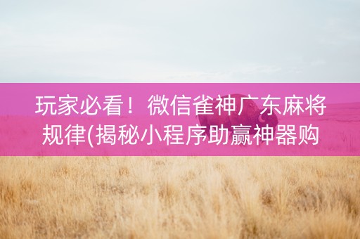 玩家必看！微信雀神广东麻将规律(揭秘小程序助赢神器购买)