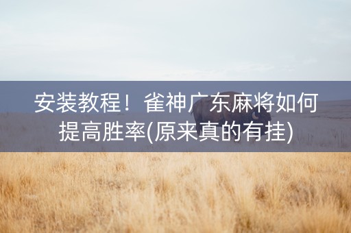 安装教程！雀神广东麻将如何提高胜率(原来真的有挂)