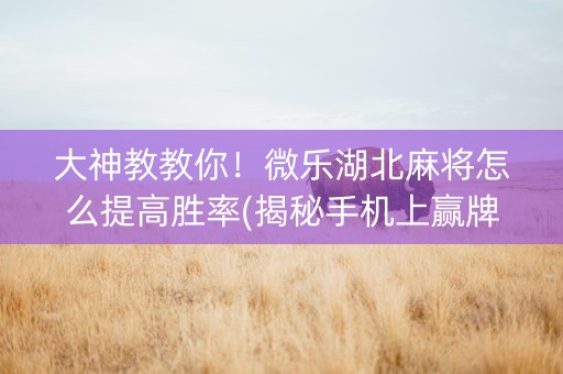 大神教教你！微乐湖北麻将怎么提高胜率(揭秘手机上赢牌的技巧)