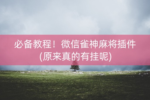 必备教程！微信雀神麻将插件(原来真的有挂呢)