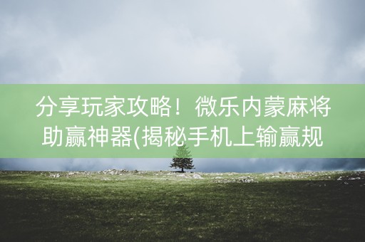 分享玩家攻略！微乐内蒙麻将助赢神器(揭秘手机上输赢规律)