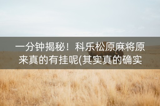 一分钟揭秘！科乐松原麻将原来真的有挂呢(其实真的确实有挂)