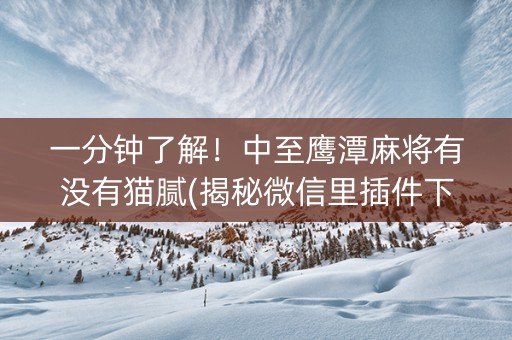 一分钟了解！中至鹰潭麻将有没有猫腻(揭秘微信里插件下载)