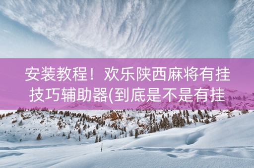 安装教程！欢乐陕西麻将有挂技巧辅助器(到底是不是有挂)