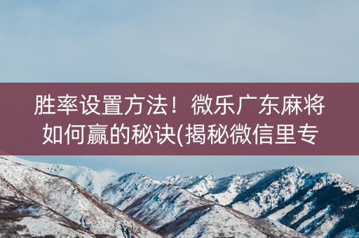 胜率设置方法！微乐广东麻将如何赢的秘诀(揭秘微信里专用神器下载)
