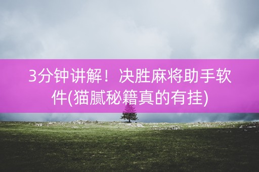 3分钟讲解！决胜麻将助手软件(猫腻秘籍真的有挂)