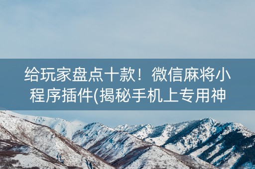 给玩家盘点十款！微信麻将小程序插件(揭秘手机上专用神器下载)