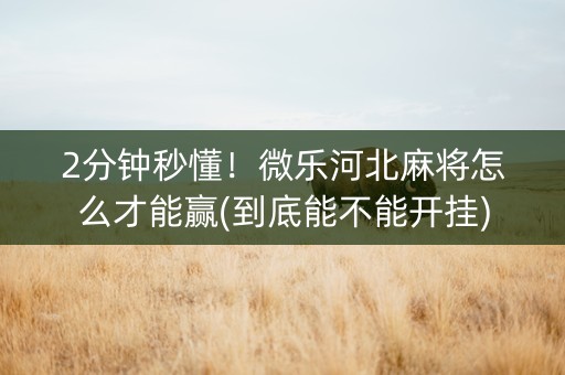 2分钟秒懂！微乐河北麻将怎么才能赢(到底能不能开挂)