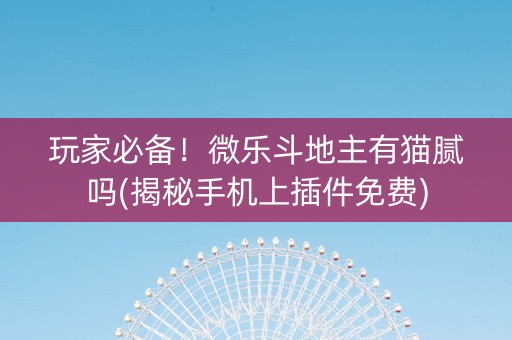 玩家必备！微乐斗地主有猫腻吗(揭秘手机上插件免费)