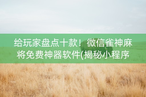 给玩家盘点十款！微信雀神麻将免费神器软件(揭秘小程序插件免费)