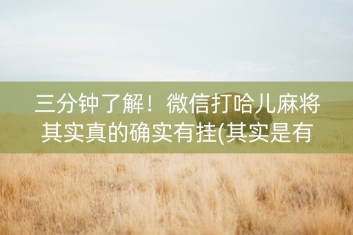 三分钟了解！微信打哈儿麻将其实真的确实有挂(其实是有挂的)