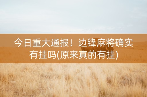 今日重大通报！边锋麻将确实有挂吗(原来真的有挂)