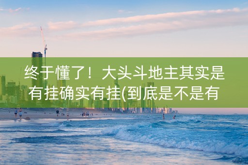 终于懂了！大头斗地主其实是有挂确实有挂(到底是不是有挂)